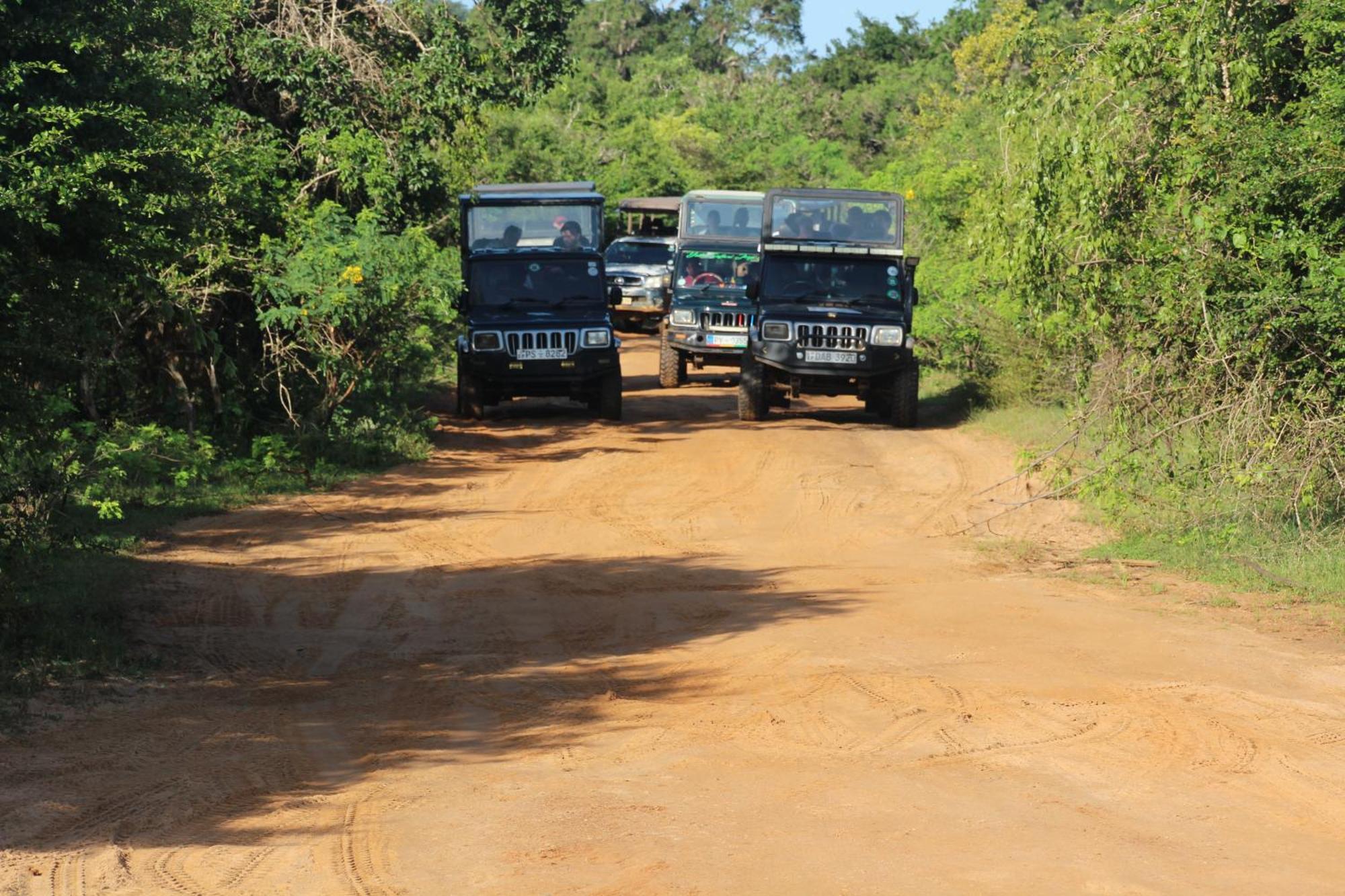 Udara Guest - Safari Villa