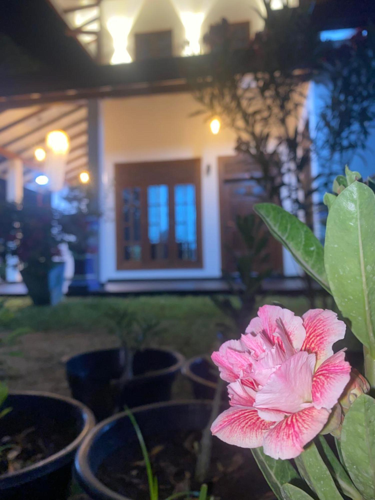 Udara Guest - Safari Villa